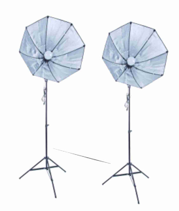 Zumm Photo 28 inch Octag 2 Softbox Kit- 2 LEDs w/6 ft Stands - AMERICAN RECORDER TECHNOLOGIES, INC.