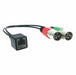 RJ45 (female) to Dual XLR (male) Adapter Cable for AXIA - AMERICAN RECORDER TECHNOLOGIES, INC.
