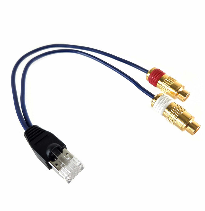 AMERICAN RECORDER RJ45 to Dual RCA Cables for Bang & Olufsen Audio Products - AMERICAN RECORDER TECHNOLOGIES, INC.