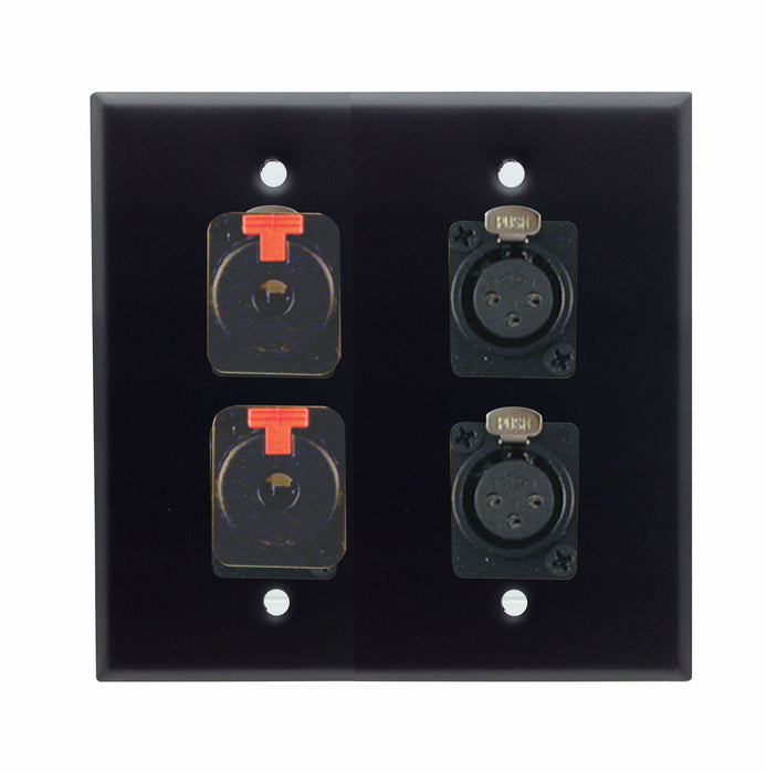 Dual Gang Stainless Steel Wall Plates with Two XLR Female/Two TRS Female - AMERICAN RECORDER TECHNOLOGIES, INC.