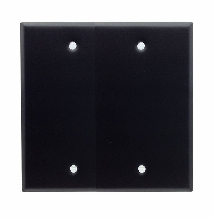 Blank Dual Gang Stainless Steel Wall Plate - AMERICAN RECORDER TECHNOLOGIES, INC.