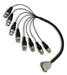 DB25 to 4 XLR(M)+4 XLR(f) Digital Cable for Tascam; Digidesign; Panasonic - AMERICAN RECORDER TECHNOLOGIES, INC.