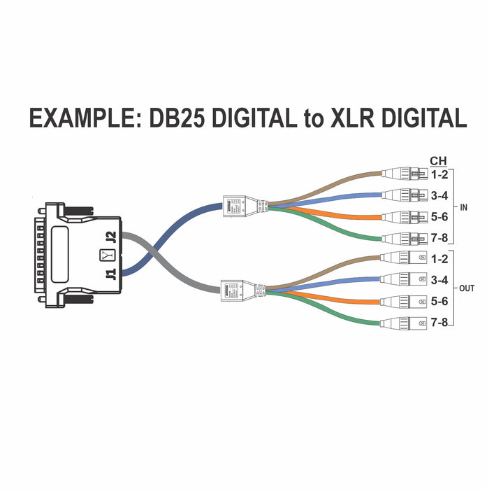 DB25 to Dual RJ45 Adapter with YAMAHA DIGITAL Pinout - AMERICAN RECORDER TECHNOLOGIES, INC.