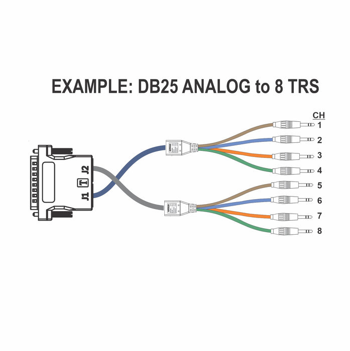 DB25 to Dual RJ45 Adapter with TASCAM DIGITAL/ANALOG Pinout - AMERICAN RECORDER TECHNOLOGIES, INC.