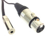 iPhone/iPad Microphone Adapter Cable with XLR Female + Headphone Jack - AMERICAN RECORDER TECHNOLOGIES, INC.