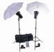 Zumm Photo 400WS Monolight Kit w/Umbrellas, Stands, Bag, WFT - AMERICAN RECORDER TECHNOLOGIES, INC.