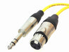 XLR Female to TRS Male Microphone Cable - AMERICAN RECORDER TECHNOLOGIES, INC.