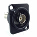 BNC Female D Type Panel Mount - Pass Through - AMERICAN RECORDER TECHNOLOGIES, INC.