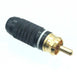 Premium RCA Gold Plated Plug - AMERICAN RECORDER TECHNOLOGIES, INC.