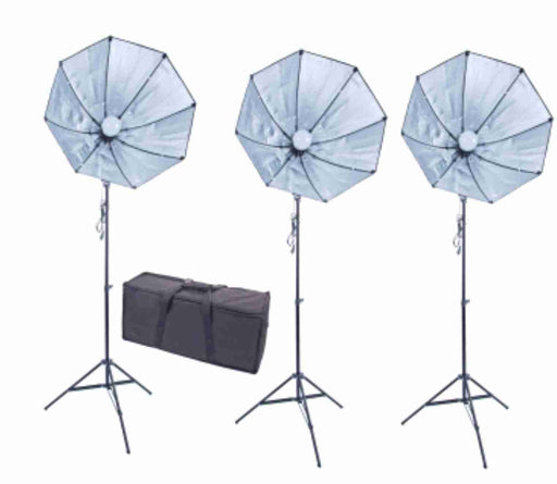 Zumm Photo 28 inch Octag 3 Softbox Kit- 3 LEDs w/Bag, 6 ft Stands - AMERICAN RECORDER TECHNOLOGIES, INC.