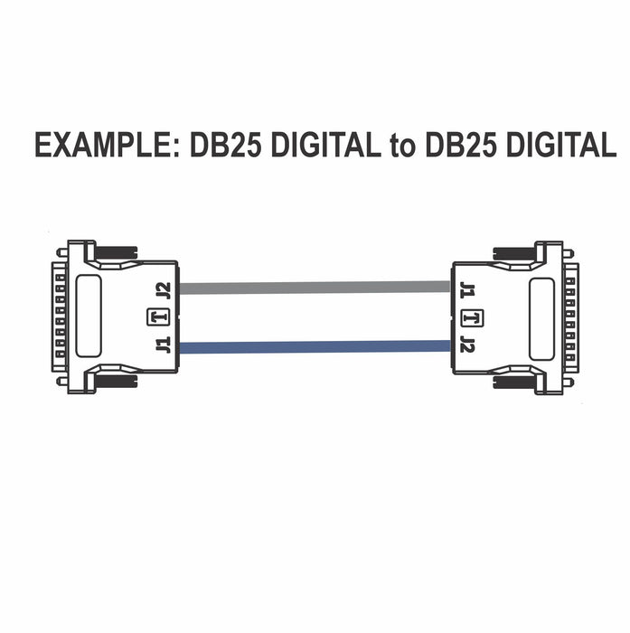 DB25 to Dual RJ45 Adapter with TASCAM DIGITAL/ANALOG Pinout - AMERICAN RECORDER TECHNOLOGIES, INC.