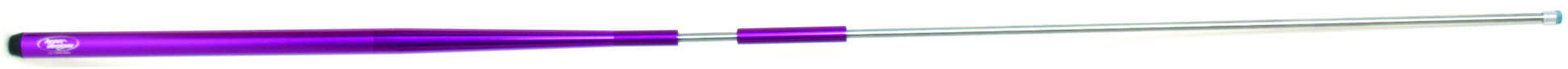 LINEAR Q - PURPLE - AMERICAN RECORDER TECHNOLOGIES, INC.